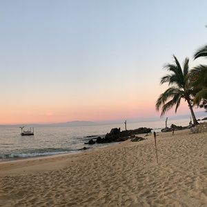 Meet your Posher, Tara